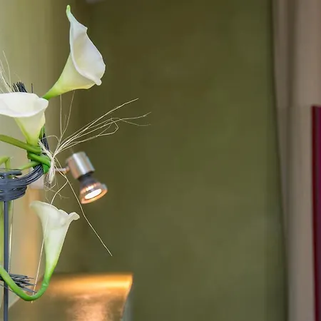 Logis Ur-hegian 2* Aïnhoa