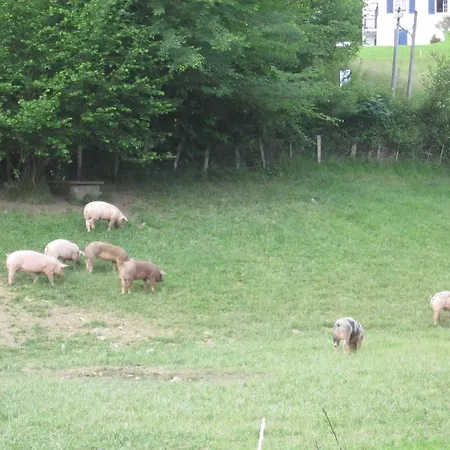 فندق Logis Ur-hegian