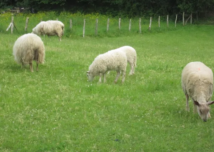 Logis Ur-hegian 2* Aïnhoa