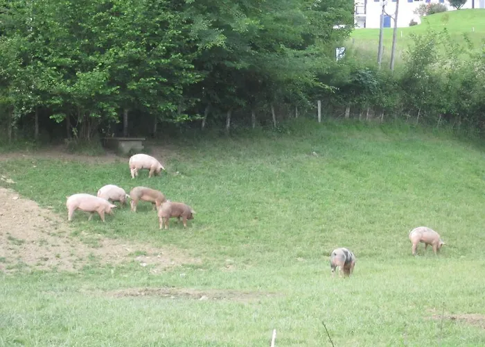 Ξενοδοχείο Logis Ur-hegian